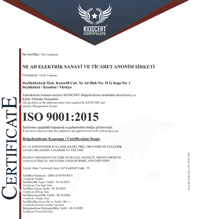 ISO 9001 
